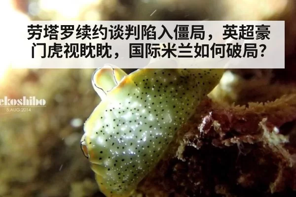 劳塔罗续约谈判陷入僵局,英超豪门虎视眈眈,国际米兰如何破局?
