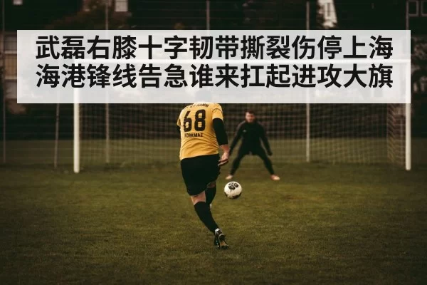 武磊右膝十字韧带撕裂伤停上海海港锋线告急谁来扛起进攻大旗